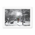 Shining Season Greeting Card - Silver Lined White Envelope